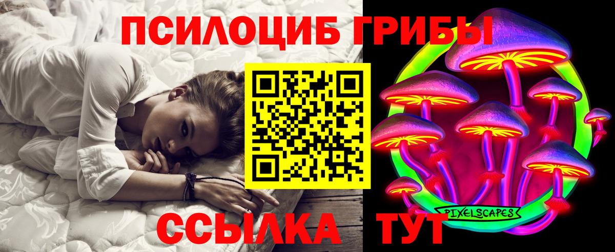 Кандалакша  Псилоцибиновые грибы мицелий  Вход с VPN 